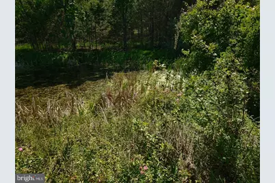 312 Tanager Drive, Old Fields, WV 26845 - Photo 64