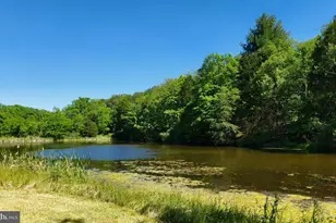 312 Tanager Dr, Old Fields, WV 26845 - Photo 62