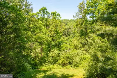 590 Whispering Pines Way, Lost City, WV 26810 - Photo 60