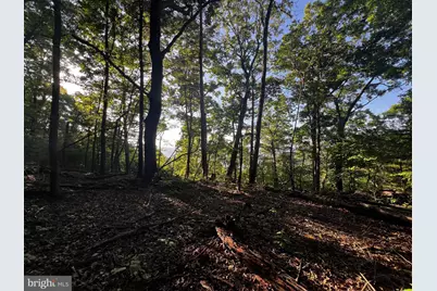 Lot 52 Grace Mountain, Moorefield, WV 26836 - Photo 12