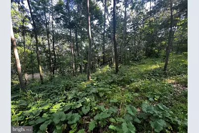 Lot 52 Grace Mountain, Moorefield, WV 26836 - Photo 4