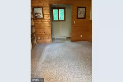 251 Riffey Mountain Lane, Mathias, WV 26812 - Photo 8