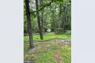 251 Riffey Mountain Lane, Mathias, WV 26812 - Photo 30