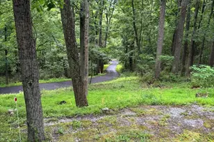 251 Riffey Mountain Ln, Mathias, WV 26812 - Photo 30