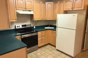 251 Riffey Mountain Ln, Mathias, WV 26812 - Photo 22