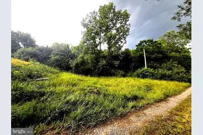 12125 State Road 259, Mathias, WV 26812 - Photo 24