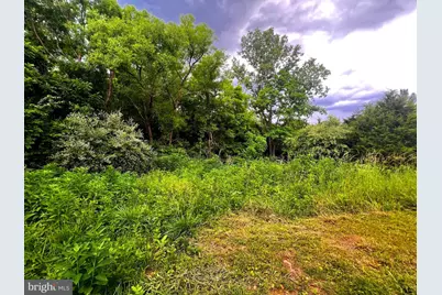12125 State Road 259, Mathias, WV 26812 - Photo 36