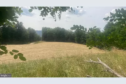 1285 Boggs Lane, Mathias, WV 26812 - Photo 46