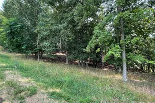 1285 Boggs Ln, Mathias, WV 26812 - Photo 50
