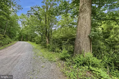 11.95Ac Luxemburg Rd, Baker, WV 26801 - Photo 4