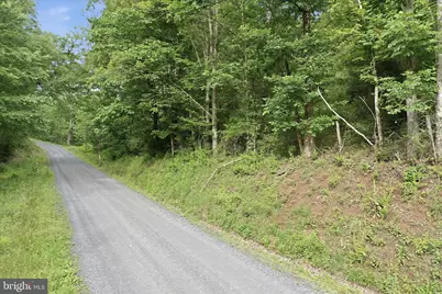 11.95Ac Luxemburg Rd, Baker, WV 26801 - Photo 10