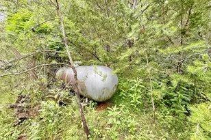 302 Vly Vw Rd, Lost City, WV 26810 - Photo 10