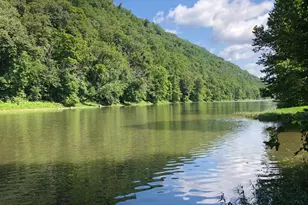 5982 S Branch Mountain Rd, Moorefield, WV 26836 - Photo 86