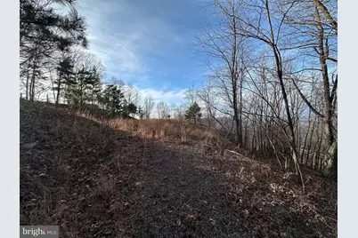 333 Nathaniel Mountain Road, Moorefield, WV 26836 - Photo 32