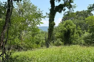 Lot 24A 3 22 Ac Fox Run, Baker, WV 26801 - Photo 1