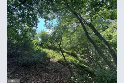 Lot 24A 3.22 Ac Fox Run, Baker, WV 26801 - Photo 24