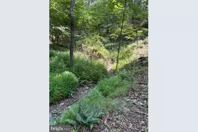 Lot 24A 3.22 Ac Fox Run, Baker, WV 26801 - Photo 18