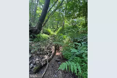 Lot 24A 3.22 Ac Fox Run, Baker, WV 26801 - Photo 28