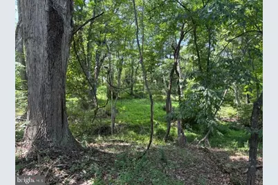 Lot 24A 3.22 Ac Fox Run, Baker, WV 26801 - Photo 34