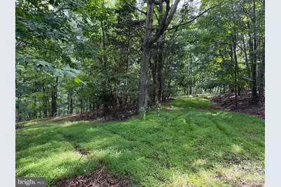 584 Berry Mountain Lane, Mathias, WV 26812 - Photo 6