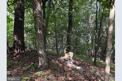 584 Berry Mountain Lane, Mathias, WV 26812 - Photo 8