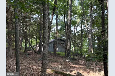 584 Berry Mountain Lane, Mathias, WV 26812 - Photo 2