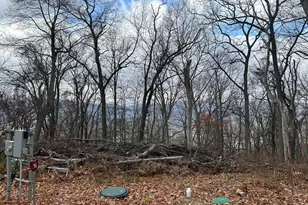 High Knob, Old Fields, WV 26845 - Photo 1