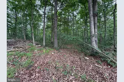 Lot 8 2Ac Grizzly Road, Mathias, WV 26812 - Photo 6