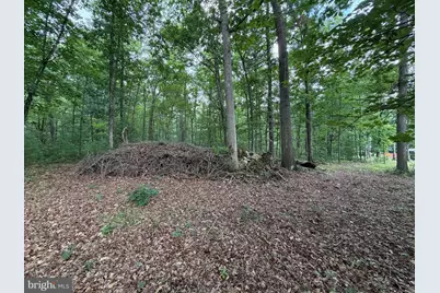 Lot 8 2Ac Grizzly Road, Mathias, WV 26812 - Photo 4