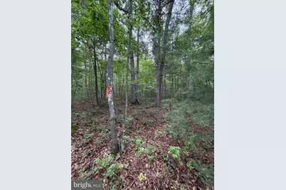 Lot 8 2Ac Grizzly Road, Mathias, WV 26812 - Photo 10