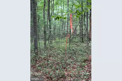 Lot 8 2Ac Grizzly Road, Mathias, WV 26812 - Photo 2
