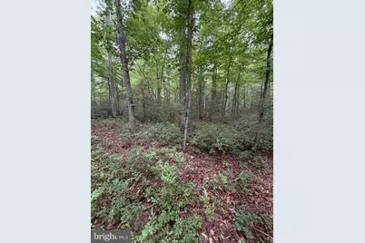 Lot 8 2Ac Grizzly Road, Mathias, WV 26812 - Photo 12