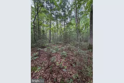 Lot 8 2Ac Grizzly Road, Mathias, WV 26812 - Photo 14