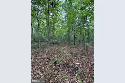 Lot 8 2Ac Grizzly Road, Mathias, WV 26812 - Photo 8