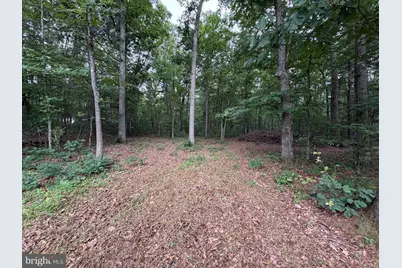 Lot 8 2Ac Grizzly Road, Mathias, WV 26812 - Photo 1