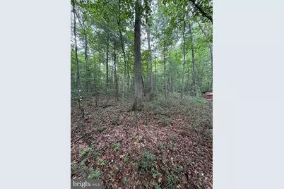 Lot 8 2Ac Grizzly Road, Mathias, WV 26812 - Photo 18