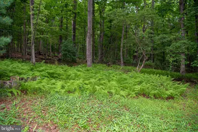 452 Wild Turkey Rdg, Lost City, WV 26810 - Photo 42