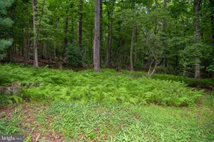 452 Wild Turkey Ridge, Lost City, WV 26810 - Photo 42