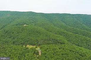 954 Rusty Ln, Mathias, WV 26812 - Photo 72