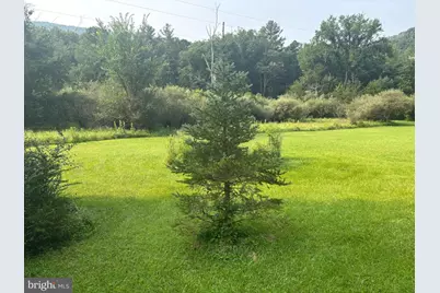 937 Wildlife Drive, Lost City, WV 26810 - Photo 6