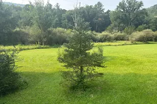 937 Wildlife Dr, Lost City, WV 26810 - Photo 6