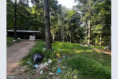 336 Howard Delawder Lane, Mathias, WV 26812 - Photo 8
