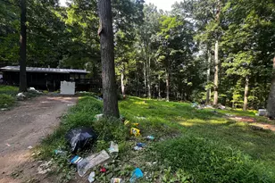 336 Howard Delawder Ln, Mathias, WV 26812 - Photo 8