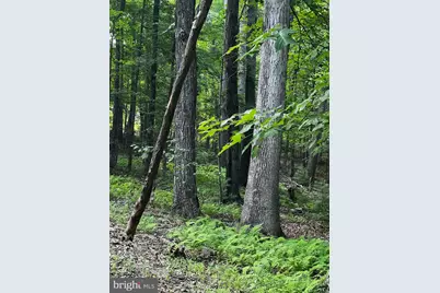 336 Howard Delawder Lane, Mathias, WV 26812 - Photo 4