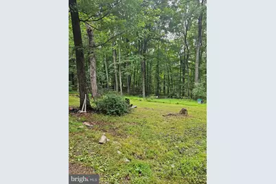 336 Howard Delawder Lane, Mathias, WV 26812 - Photo 24