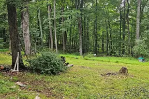 336 Howard Delawder Ln, Mathias, WV 26812 - Photo 24