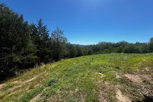 2066 Dispanet Rd, Mathias, WV 26812 - Photo 104