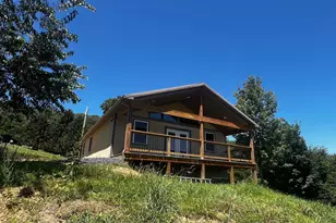 2066 Dispanet Rd, Mathias, WV 26812 - Photo 4