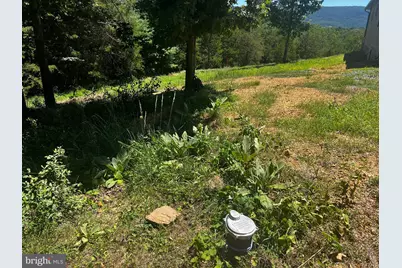 2066 Dispanet Road, Mathias, WV 26812 - Photo 106