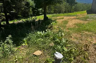 2066 Dispanet Rd, Mathias, WV 26812 - Photo 106